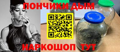 индика Гусиноозёрск