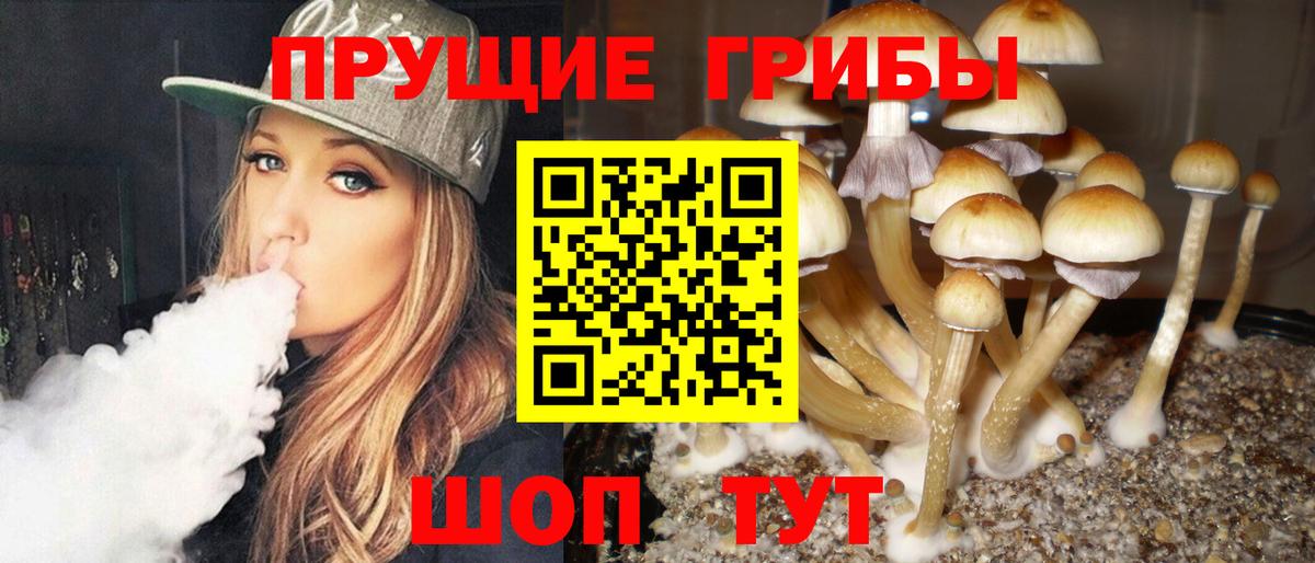 Псилоцибиновые грибы GOLDEN TEACHER  Вход с VPN  Людиново  Галлюциногенные грибы прущие грибы 